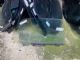 BMW Z3 Sports Other RF Door Glass