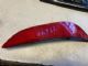 Honda Grace GM4 RR Bumper Reflector