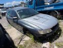 Holden Commodore Other