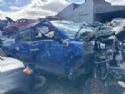Great Wall Motors Cannon 2021-on
