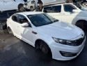 KIA Optima/Magentis GN41 4th Gen 2015-2019