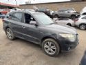 Hyundai Santa Fe SH81 2006-2012